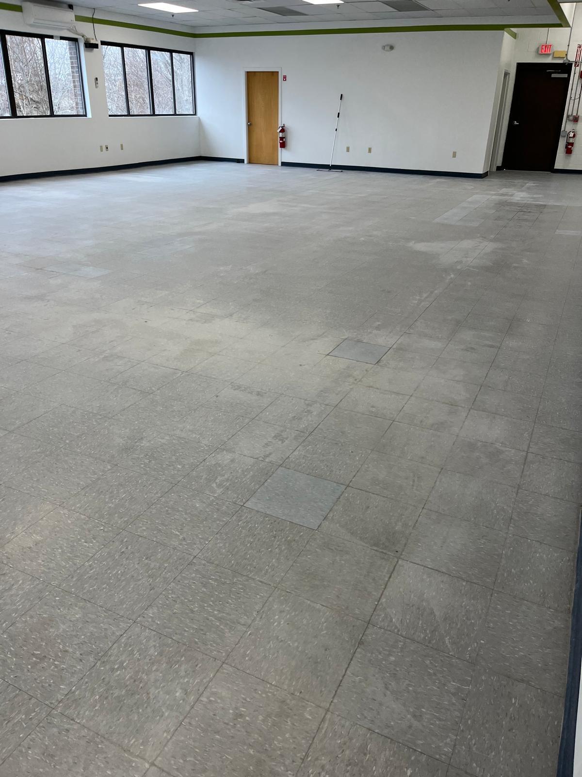 Before: Cleaning Professional