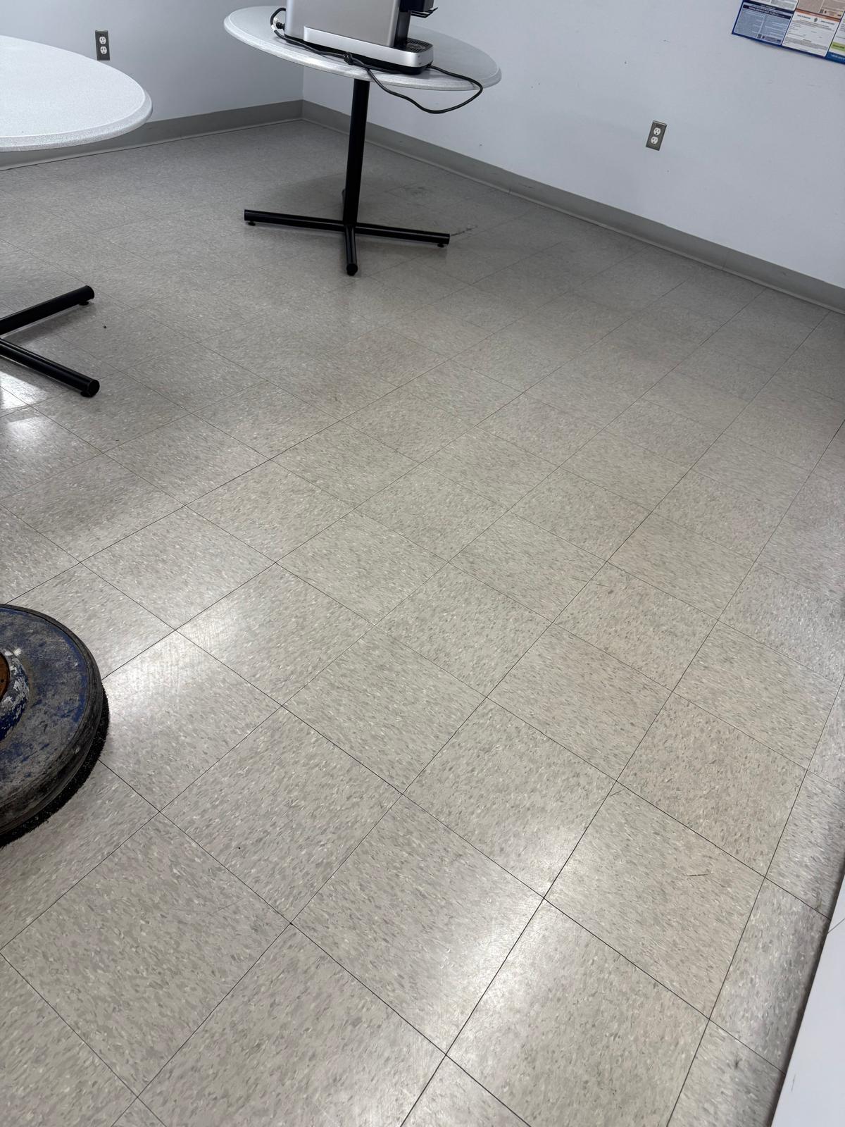 Before: Cleaning Professional