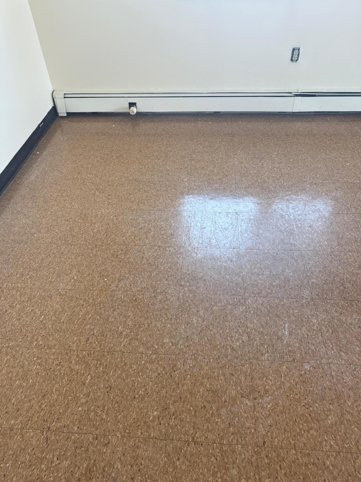 Before: Cleaning Professional