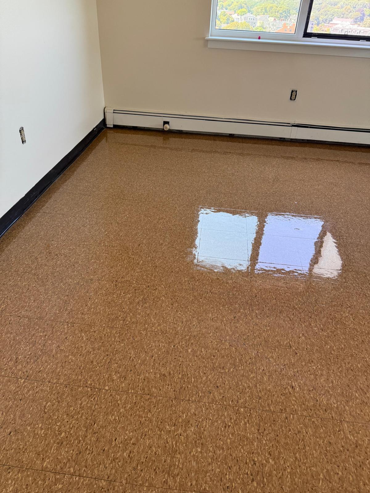 After: Cleaning Professional