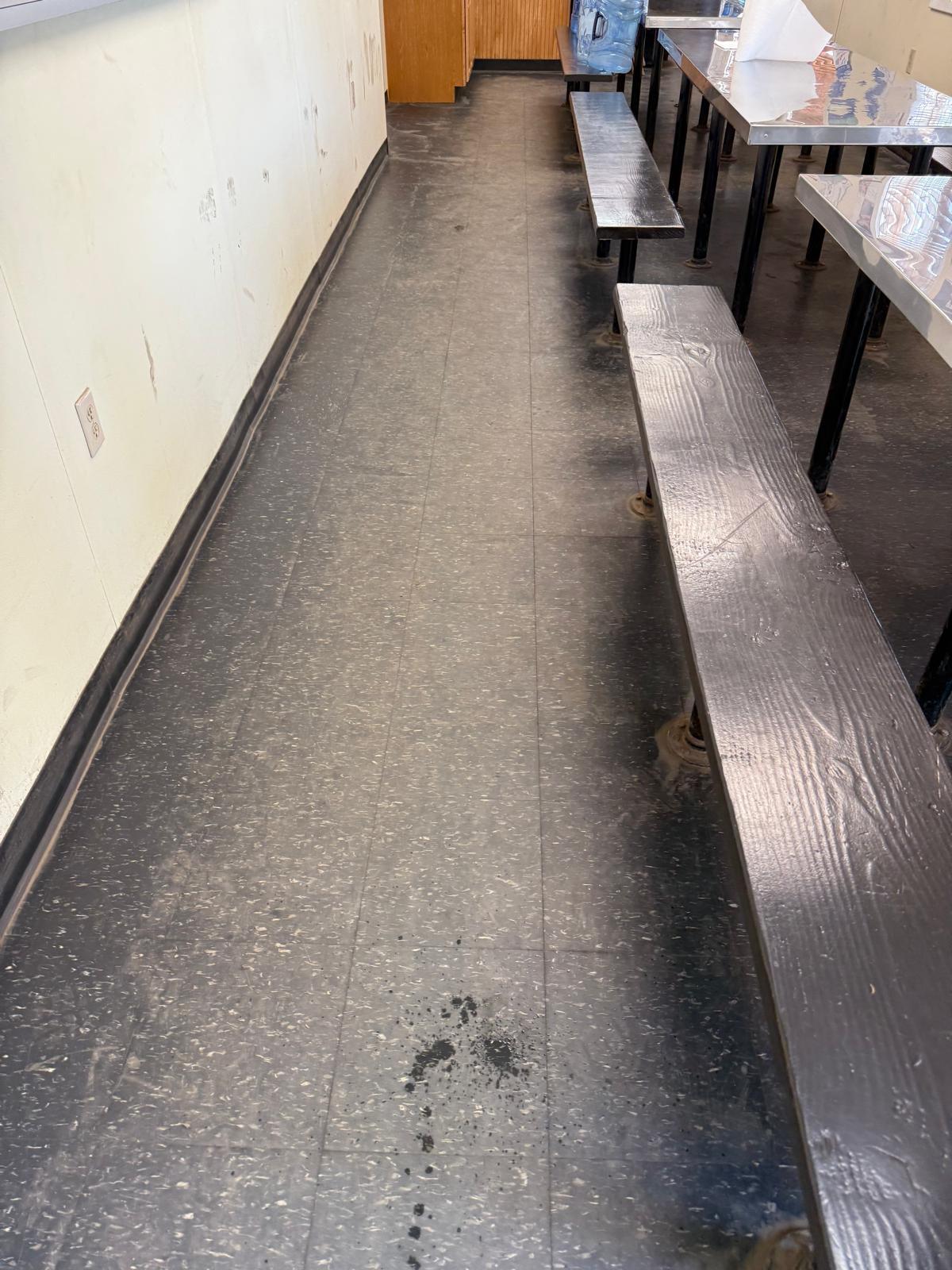 Before: Cleaning Professional