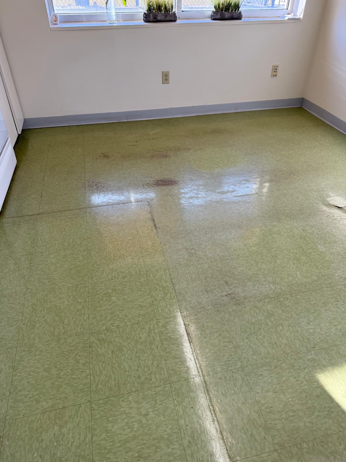 Before: Cleaning Professional