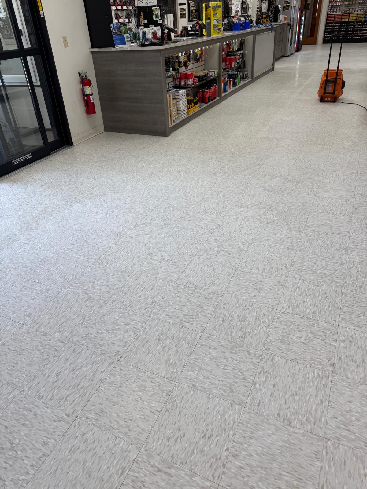 Before: Cleaning Professional